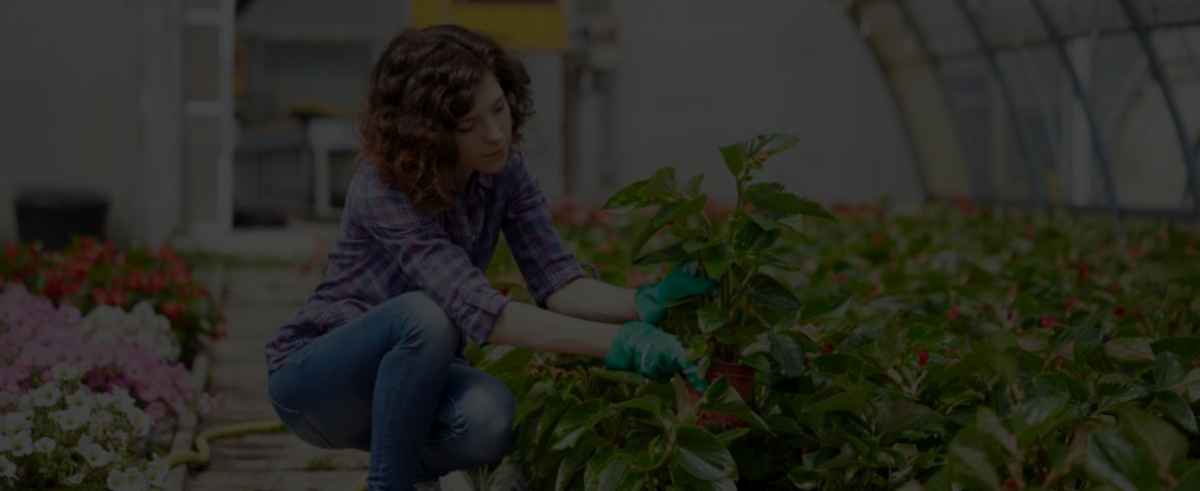 Стратегия развития сайта - как улучшить клиентский сервис?